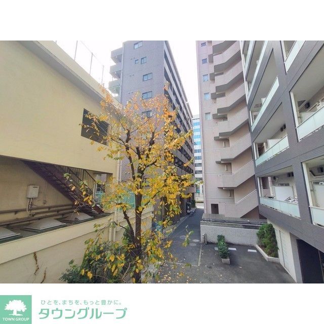 眺望　ルーフバルコニーからの眺望