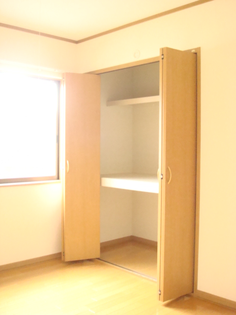 その他部屋・スペース　南側洋室収納