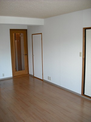 収納　ＬＤＫにも収納あり