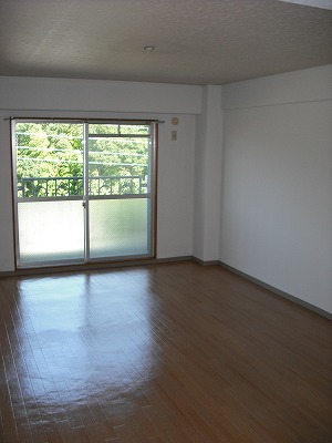 居室・リビング　大きなＬＤＫには新設予定