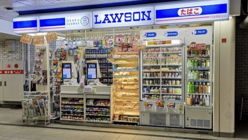 コンビニ　ローソンサテライト OSL肥後橋駅南店（コンビニ）まで878m
