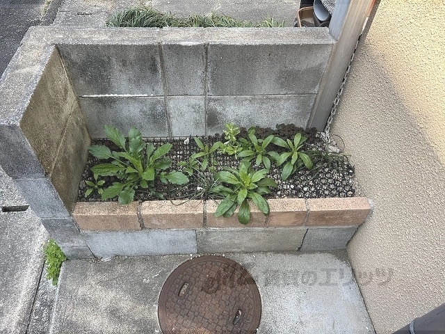 その他共有部分　植栽