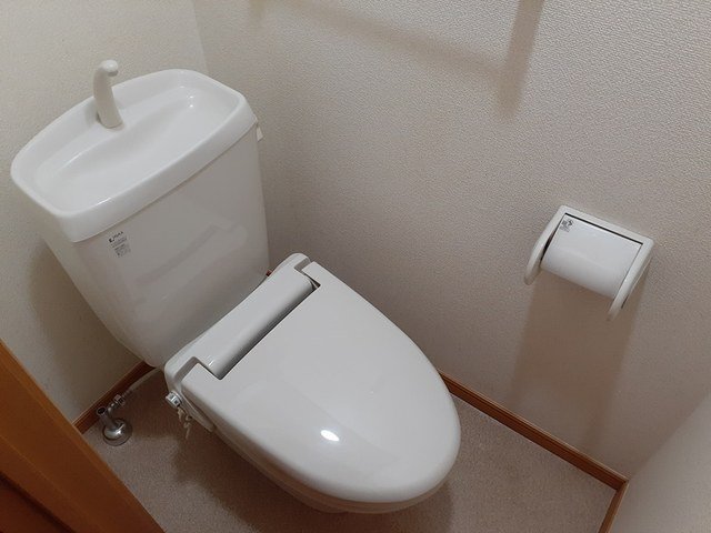 トイレ　トイレも気になるポイント