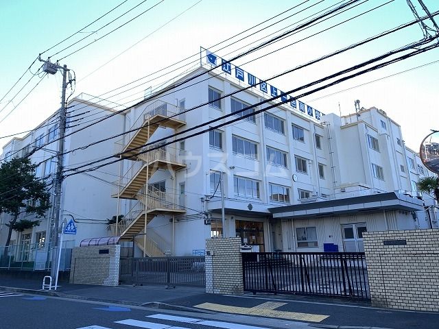 小学校　東京都江戸川区立上一色南小学校（小学校）まで1016m