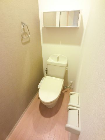 ＪＲ成田線 木下駅 徒歩9分 2階建 築15年のトイレ写真