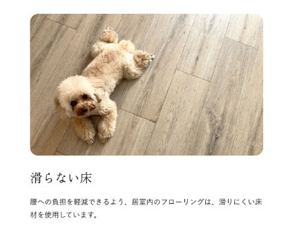 西鉄天神大牟田線 西鉄平尾駅 徒歩14分 5階建 築1年のその他写真