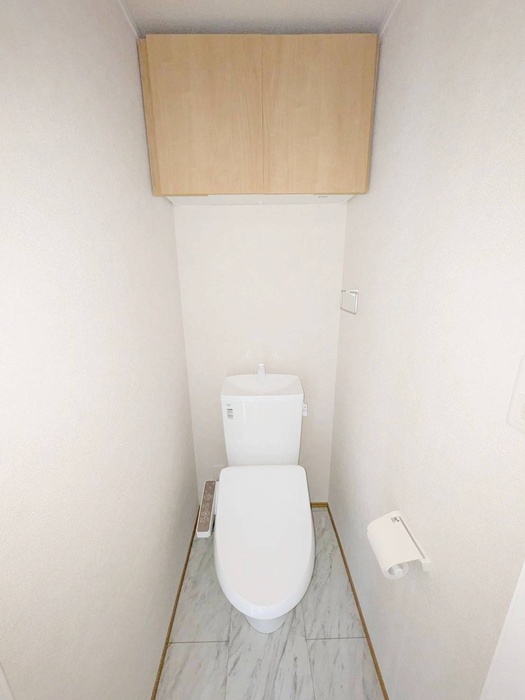 ドゥ・アネッサ Y-IIのトイレ写真