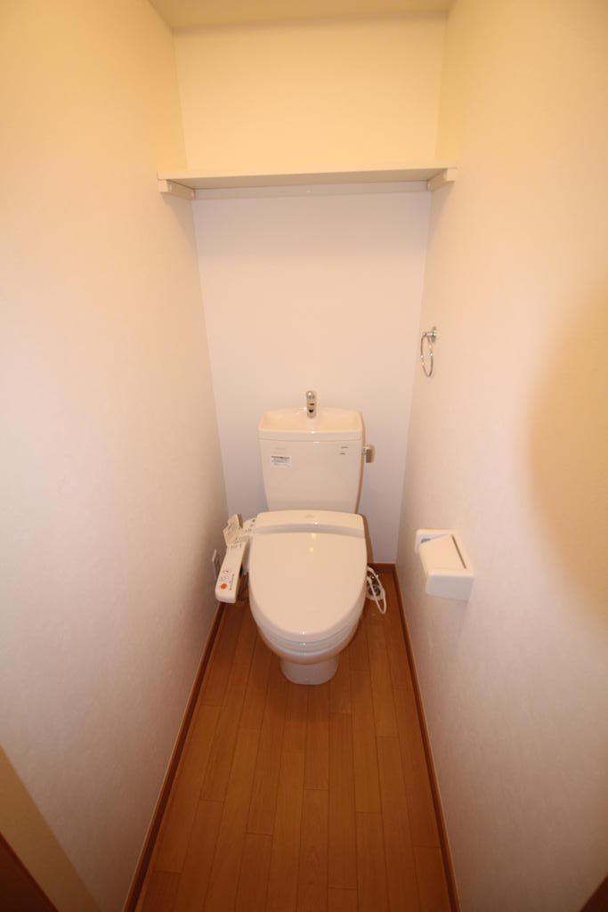 ドゥ・アネッサAのトイレ写真
