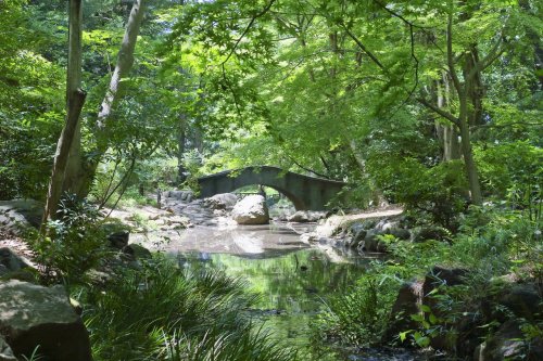 【パレステュディオ広尾の公園】