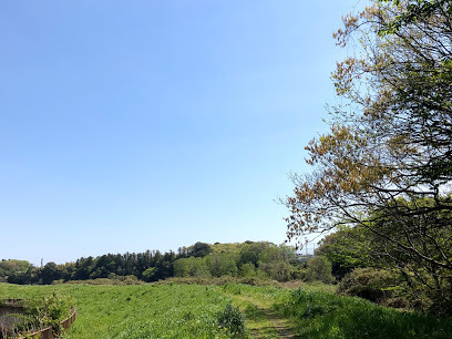 【サーパス千波緑岡の公園】