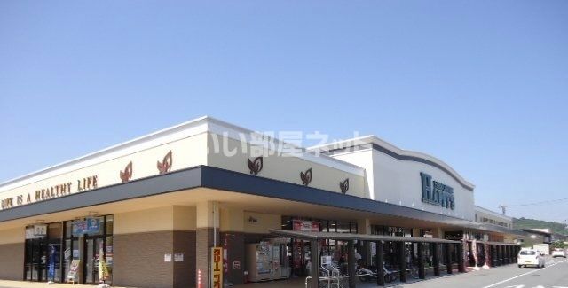 スーパー　ハピーズ円山店（スーパー）まで351m