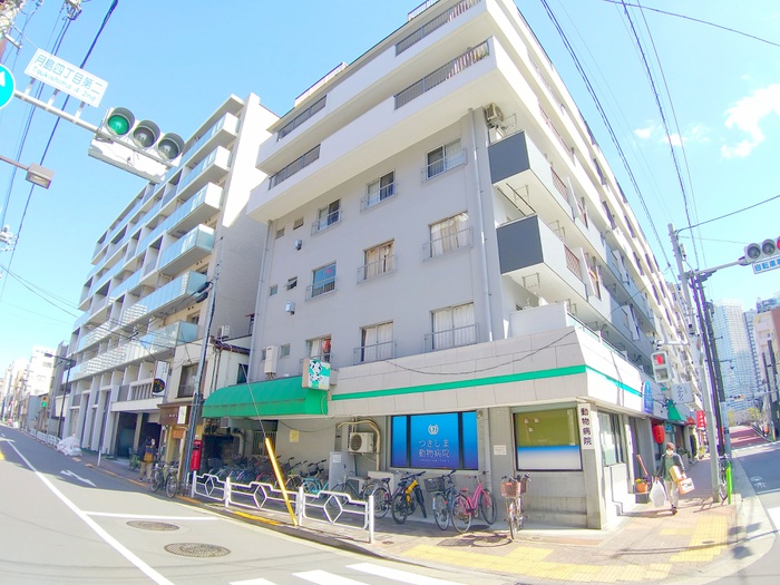 病院　動物病院（病院）まで860m