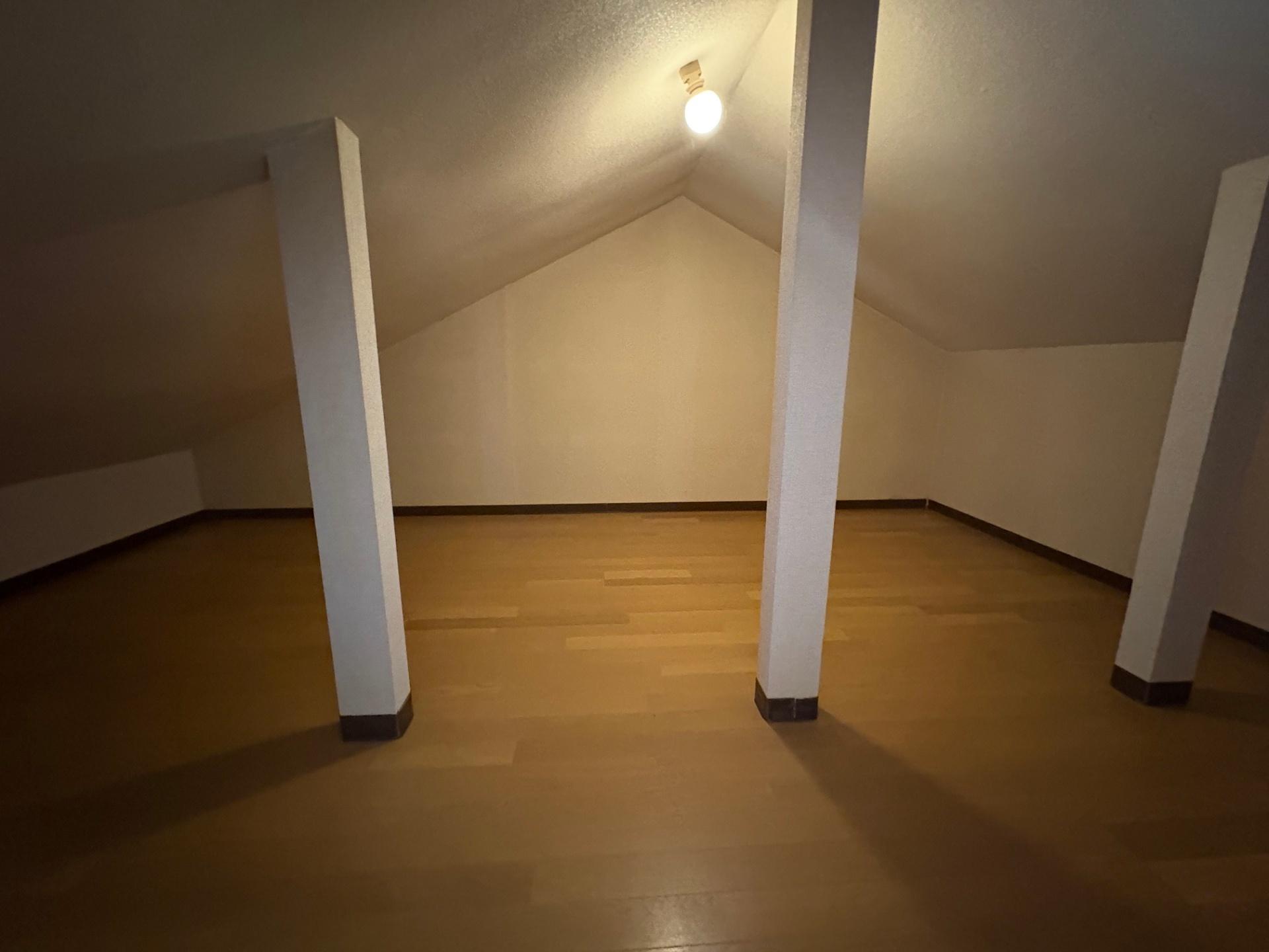 収納　ロフト二部屋目