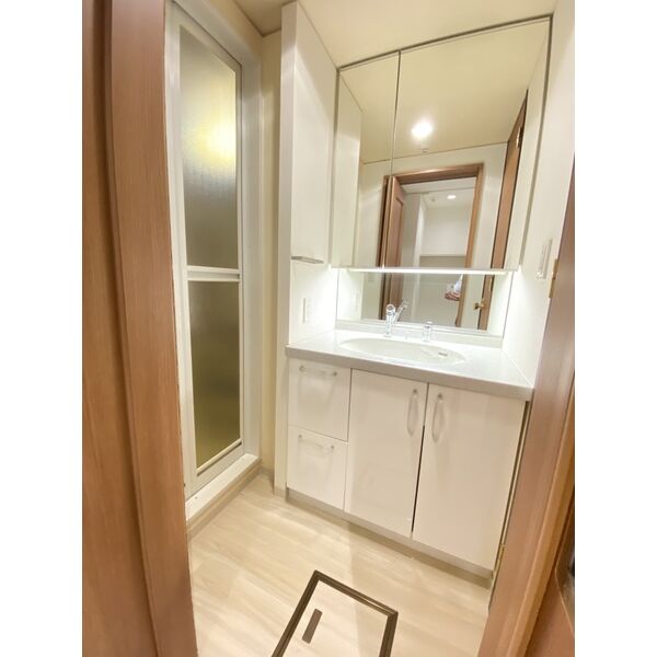 洗面設備　内装は別部屋の参考写真です。