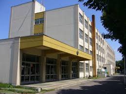 小学校　札幌市立琴似中央小学校（小学校）まで882m