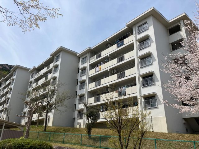 若山台第一住宅23号棟_その他_3