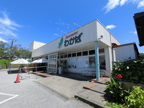 スーパー　スーパーわかば（スーパー）まで1462m