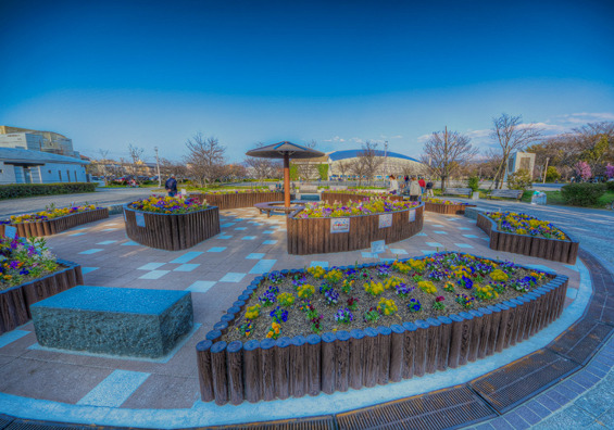 公園　八戸の里公園（公園）まで1111m