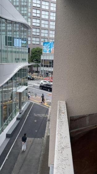 眺望　※別部屋からの眺望となります