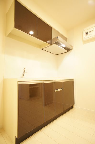 キッチン　同建物、他号室写真参照