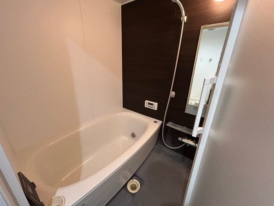 バス・シャワールーム　※別部屋の写真です