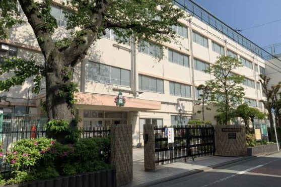 小学校　目黒区立向原小学校（小学校）まで407m