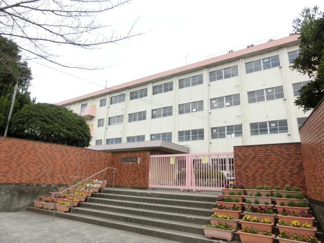 小学校　八枝小学校（小学校）まで800m