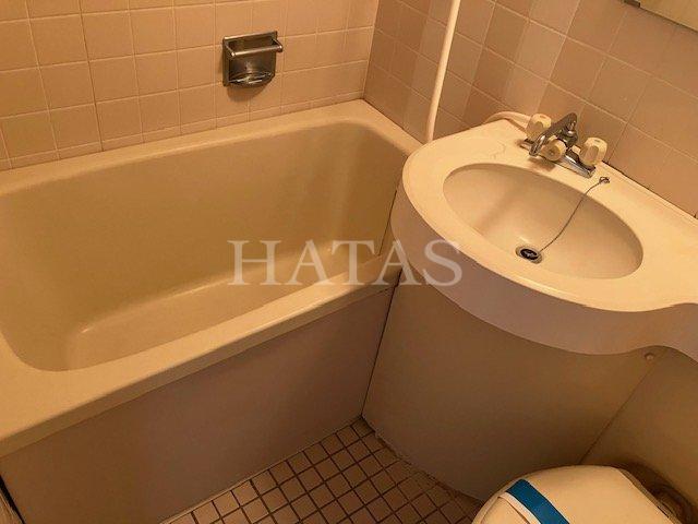 バス・シャワールーム　同物件別部屋です