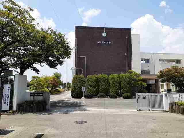 小学校　小牧市立　小牧原小学校（小学校）まで1100m