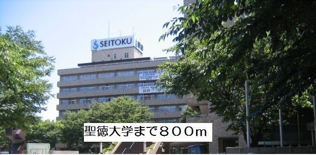 大学・短大　聖徳大学（大学・短大）まで800m