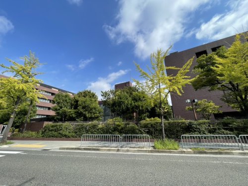 大学・短大　武庫川女子大学　浜甲子園キャンパス（大学・短大）まで652m
