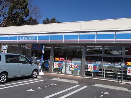 コンビニ　ローソン 甲斐大下条（コンビニ）まで701m