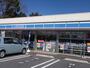 コンビニ　ローソン 甲斐大下条（コンビニ）まで701m