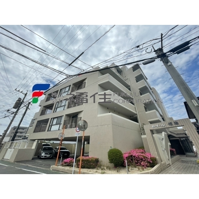 セザール姪浜