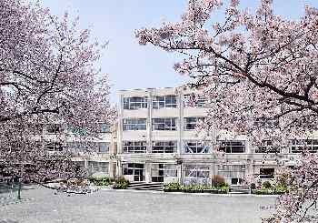 小学校　世田谷区立松原小学校（小学校）まで308m