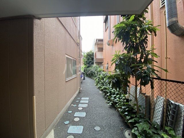 庭