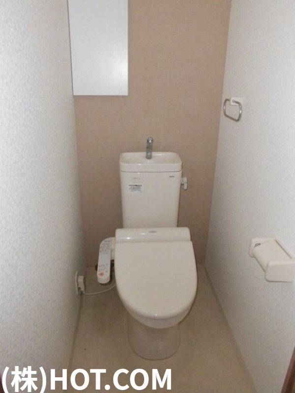 ＪＲ鹿児島本線 竹下駅 徒歩15分 9階建 築13年のトイレ写真