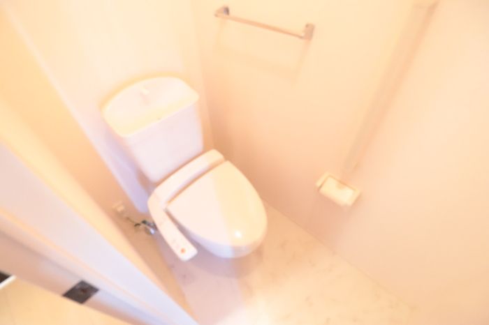 薩摩川内市 2階建 築17年のトイレ写真
