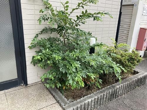 レオパレス新開の風呂写真