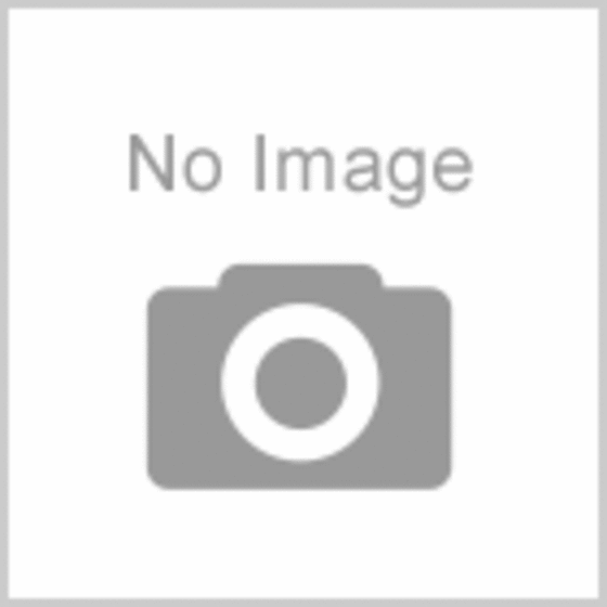 トイレ　※別号室の写真です。