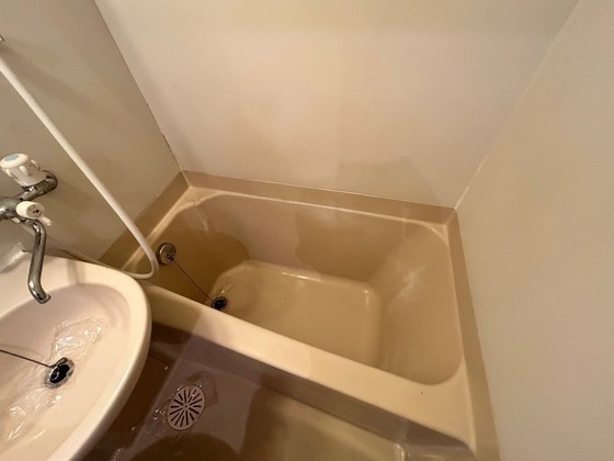 バス・シャワールーム　※別部屋の写真です