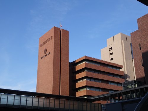 【メリヤス鳴尾の大学・短大】