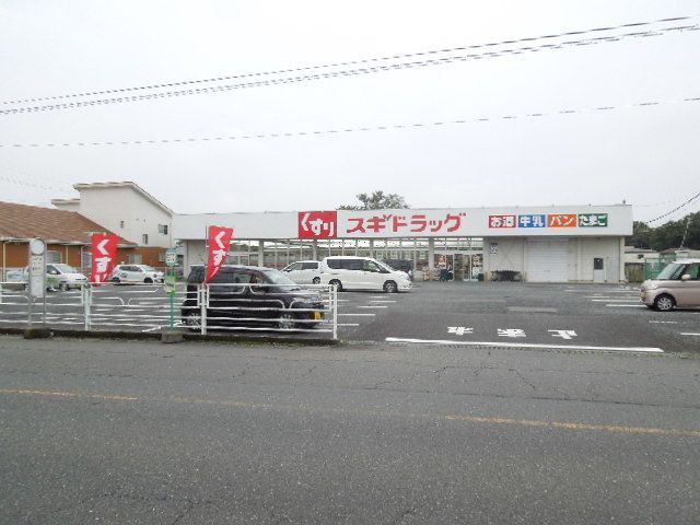 【桶川市坂田東のアパートのドラックストア】