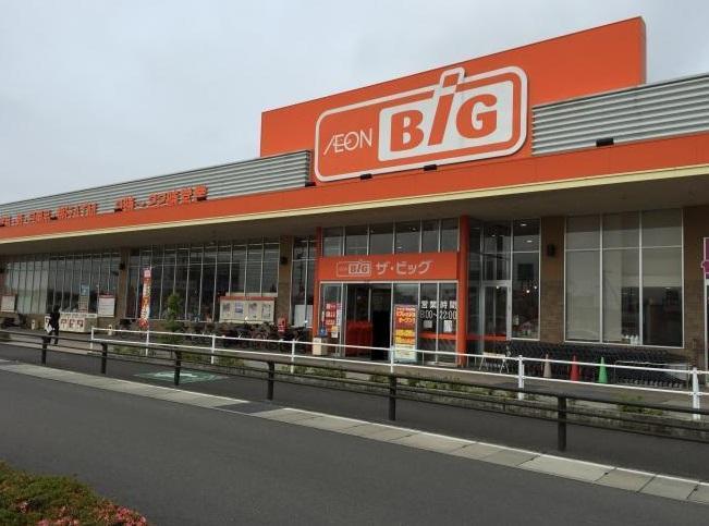 スーパー　ザ・ビッグ（スーパー）まで1250m