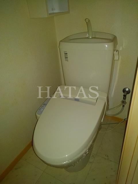 トイレ　同物件別部屋です。