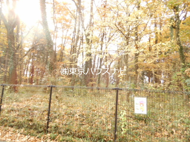 公園　金山森の広場（公園）まで275m