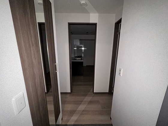 玄関　※別号室の写真です。