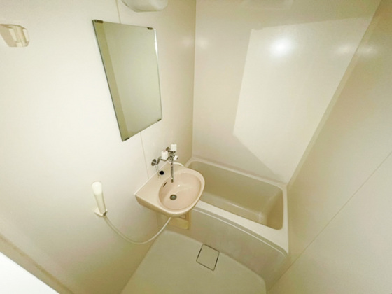 バス・シャワールーム　※別部屋の写真です