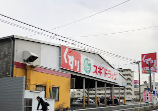 ドラックストア　スギ薬局 板橋店（ドラッグストア）まで1233m