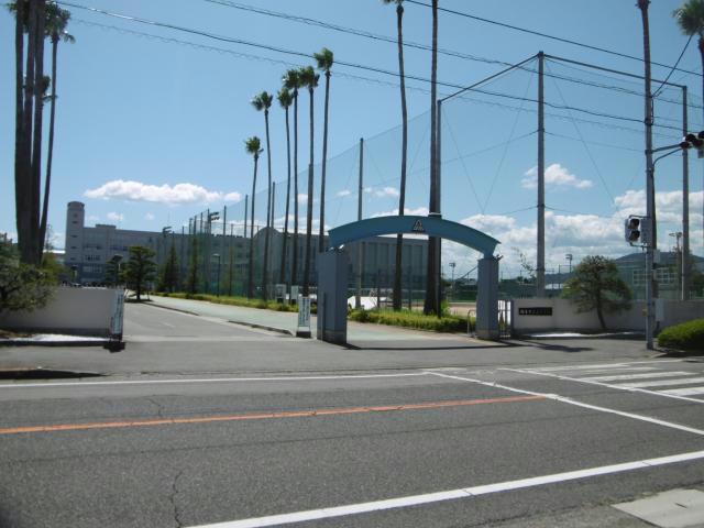 高校・高専　徳島市立高校（高校・高専）まで1836m